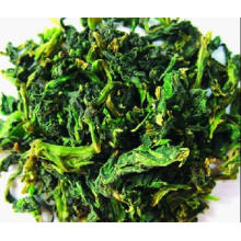 Dehydrated Spinach with High Quality